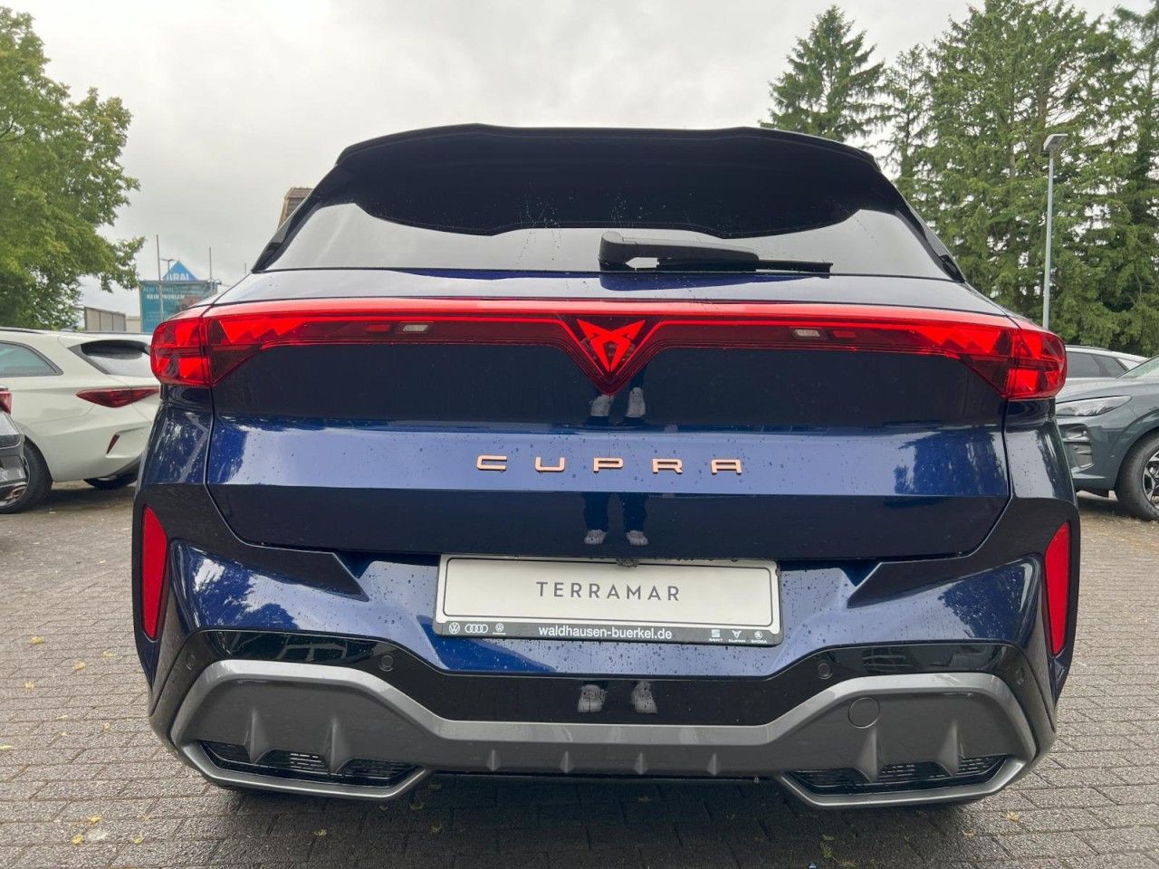 Cupra Terramar - Bild 4