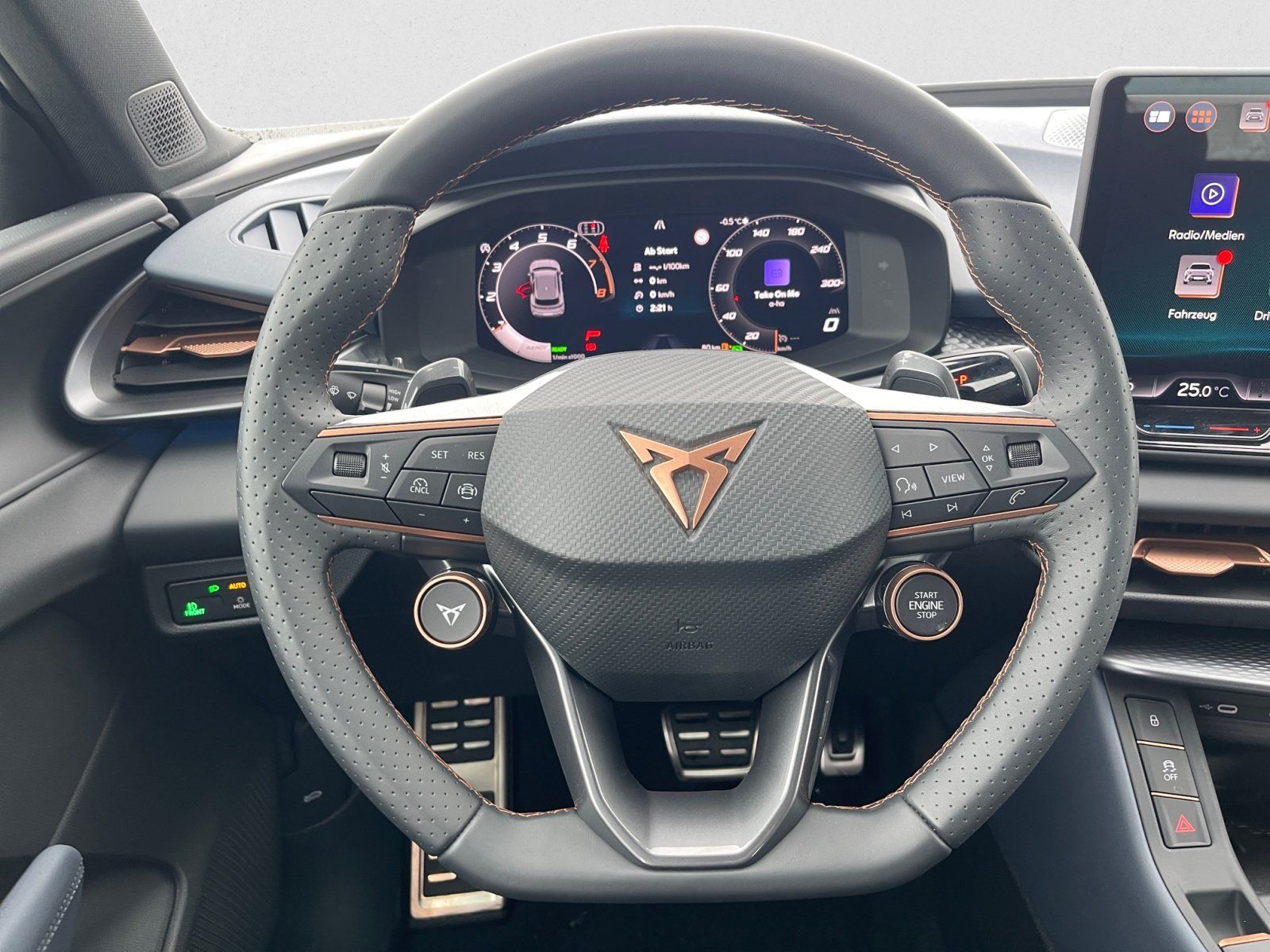 Cupra Terramar - Bild 14