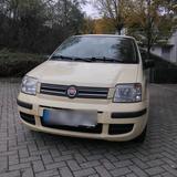 Fiat Panda Automatik Klima TÜV:06.2027 - Fiat Panda Gebrauchtwagen in Wuppertal