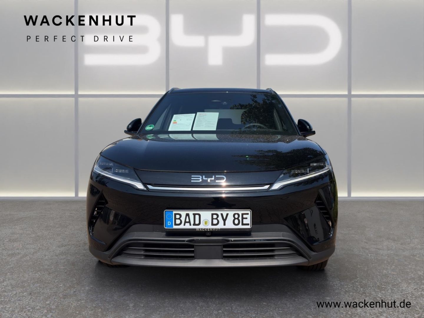 BYD ATTO 2