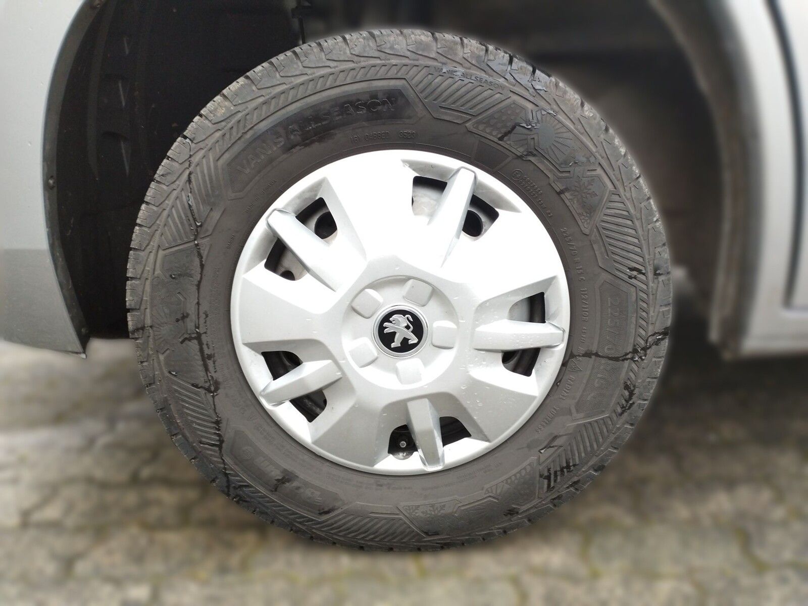 Fahrzeugabbildung Rapido Vans Dreamer D42 FUN