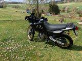 Honda NX650 Dominator - Offers matching your search criteria