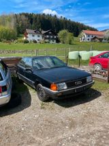 Audi 100 C3 Typ 44 quattro 10V Turbo Sport - Audi 100: Turbo