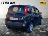 Fiat Panda MY25 1.0 Klima PDC Citypaket - Fiat Panda in Leipzig