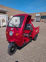 Andere Elektro-Frosch BIG | E-Dreirad / Lasten-Mofa | 2 - ELEKTRO DREIRAD