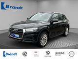 Audi Q5 45 TFSI quattro S-TRONIC+XENON+NAVI+ACC+PDC - gebrauchte Audi Q5 aus dem Jahr 2019