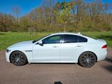 Jaguar XE 20d 180PS R-Sport Automatik R-Sport - Top Car - weiße Jaguar XE