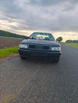 Audi 80 b4 tdi H-Kenzeichen - Audi 80: TDI