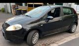 Fiat Punto 1.4 - Fiat Punto Gebrauchtwagen in Köln