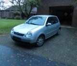 Volkswagen Lupo 1.0 College College - graue Volkswagen Lupo