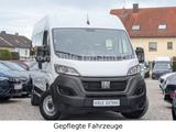 Fiat DUCATO 9-SITZER KOMBI 33-140 L2H2 *TOP ZUSTAND!* - Fiat: Sitzer 9