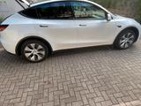 Tesla Model Y RWD, Pano, Berlin - gebrauchte Tesla Model Y aus dem Jahr 2024