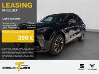 Cupra Terramar - Vorschau Bild 1