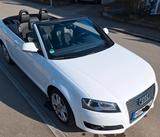 Audi A3 1,9TDI Cabriolet - Audi A3 aus 2008: 1.9