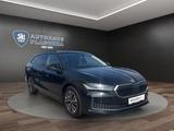 Skoda Superb C. 2.0 TDI DSG 4x4 Selection STANDHZ*AHK - Skoda Superb Gebrauchtwagen