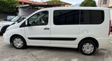 Fiat Scudo 2.0 MJT/165 DPF PC Panorama Executive - Fiat Scudo aus 2013