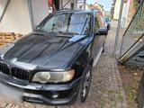 BMW X5 E53 4.4i  182Tkm TÜV bis 8/27 AHK 3,5t - BMW X5 E53 mit Benzin-Antrieb