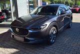 Mazda CX-30 2.5 140PS Exclusive-Line Matrix-LED Bose 3 - Mazda CX-30 Exclusive-Line mit Benzin-Antrieb