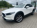 Mazda CX-30 SELECTION 360° Matrix BOSE Freisprech Klim - weiße Mazda CX-30