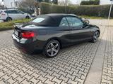 BMW 220d Cabrio Sport Line/SHZ/NAVI/LEDER   - BMW 220 in Frankfurt (Main)