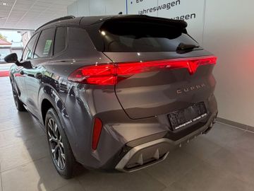 Cupra Terramar - 10