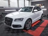 Audi SQ5 3.0 TDI competition tiptronic quattro - - Audi SQ5 mit Anhängerkupplung