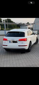 Audi Q5 50 TDI tiptronic quattro design design - Audi Q5 Hybrid (Diesel/Elektro)