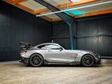 Mercedes-Benz AMG GT Black Series + Himalayas Grey + Sport AGA - Mercedes-Benz AMG GT in Hamburg