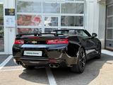Chevrolet Camaro Cabrio 6.2 V8 KLAPPE/LEDER/SITZKLIMA/CAM - Chevrolet in Braunschweig