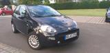 Fiat Punto 1.4 B mit CNG Gas 1 Hand - mit CNG-Antrieb: Sportwagen