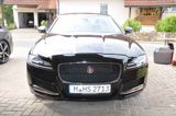 Jaguar XF 25t 250PS Prestige Automatik  - Jaguar XF mit Benzin-Antrieb