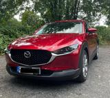 Mazda CX-30 2.0 SKYACTIV-G M-Hybrid - - Mazda CX-30 Gebrauchtwagen in Frankfurt