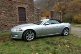 Jaguar XK 4.2L V8 Cabriolet - - Jaguar XK aus 2008: Cabrio