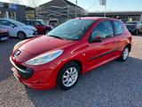 Peugeot 206 + Basis *ZV*2.Hand*Radlager Neu* - Peugeot 206: Rot