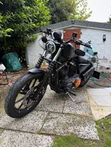Harley-Davidson Sportster Iron 883|EZ16|Schwarz|Remus Auspuff - Angebote