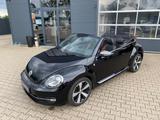 Volkswagen Beetle Cabriolet Karmann-Fender-Edition - Volkswagen Beetle aus 2016