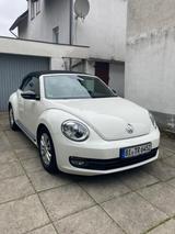 Volkswagen Beetle 1.6 TDI Cabriolet - - Volkswagen Beetle in Bielefeld