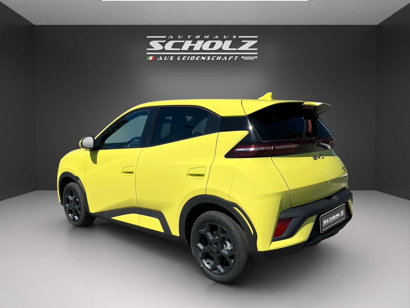 BYD DOLPHIN SURF
