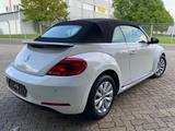 Volkswagen Beetle Cabriolet/PDC/KLIMA/SHZ/WINDSCHOTT/ALU/ - gebrauchte VW Beetle aus dem Jahr 2013