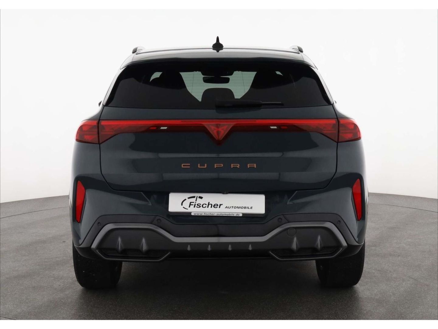 Cupra Terramar - Bild 6