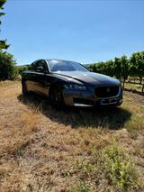 Jaguar XF Portfolio | Top gepflegt | Luxusausstattung - : Limousine, Luxus