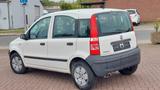 Fiat Panda - Fiat Panda Gebrauchtwagen in Bremen