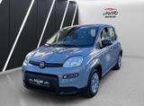 Fiat New Panda Klima Hybrid - gebrauchte Fiat Panda aus dem Jahr 2023