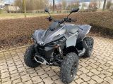 Can Am Renegade 650 DPS T3b MY23 mit Sonderdekor