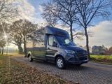 Mercedes-Benz Sprinter Automatic Haras STX 4,1T C1 Führerschei - Angebote