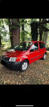 Fiat Panda - Fiat Panda Gebrauchtwagen in Bielefeld