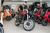 Benelli Leoncino 500 Trail,sofort lieferbar,Aktionspreis - BENELLI LEONCINO 500 TRAIL