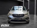 Opel Grandland X 2.0 D 120 Jahre *Kamera*DAB* - Opel Grandland (X) 120-Jahre