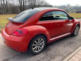 Volkswagen Beetle 1.4 TSI BMT CLUB CLUB Panoramadach - Volkswagen Beetle: Club