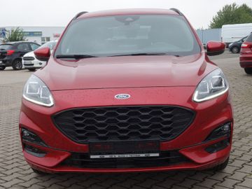 Bild 2 Ford Kuga ST Line NAVI,SHZ v u. h, beheiz. Lenkrad